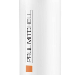 Paul Mitchel Color Protect Shampoo 33.8oz